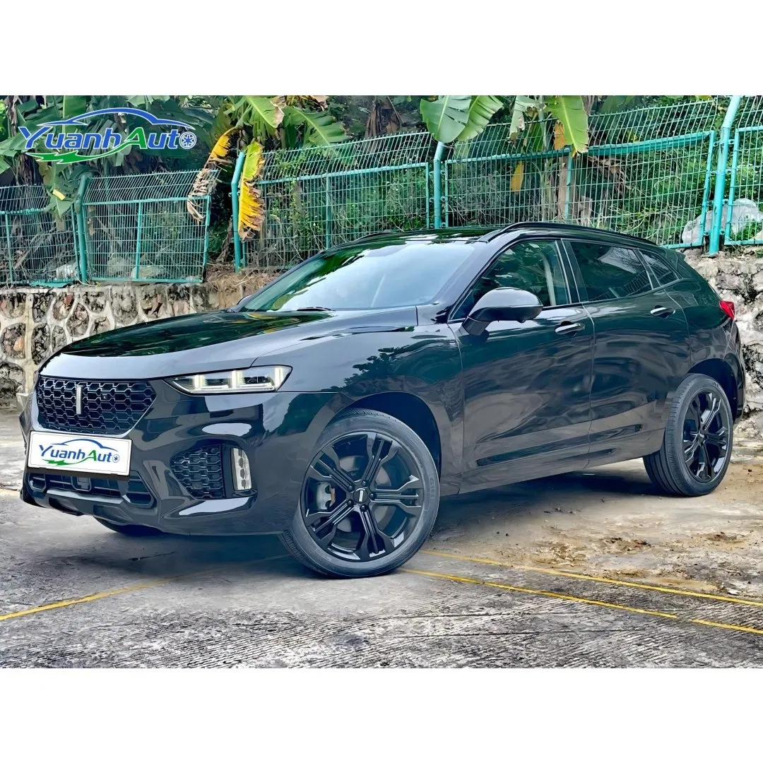 2019 VV7 vehicle photo 3