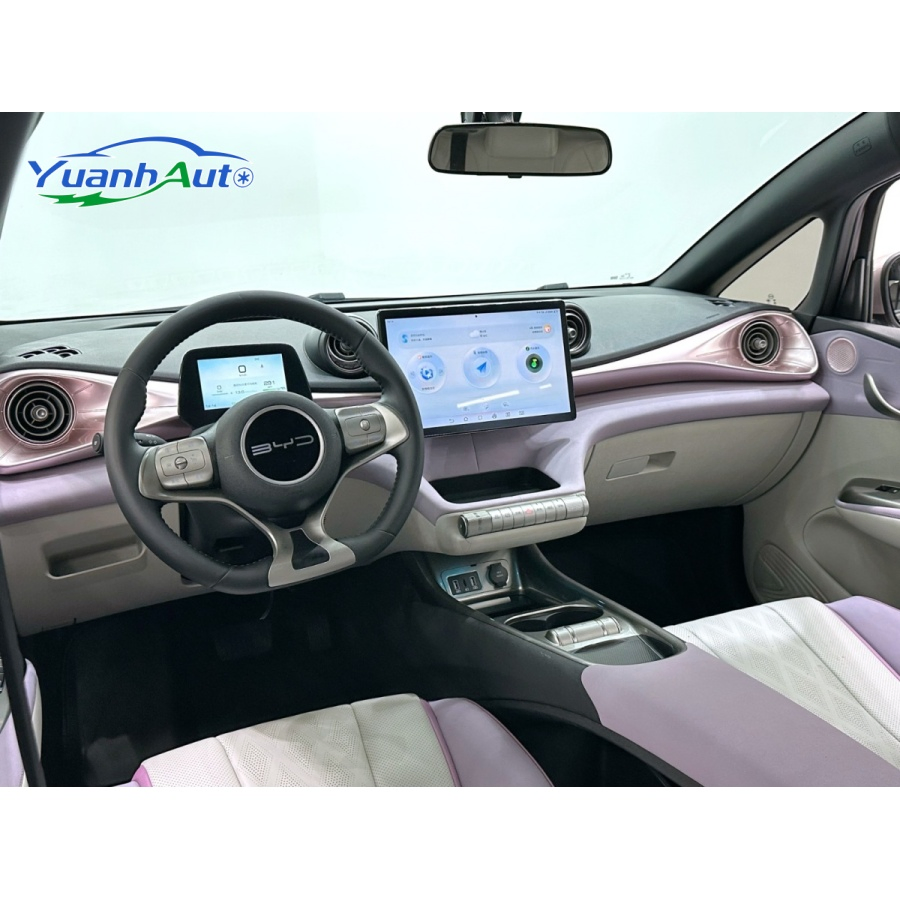 2023 BYD Dolphin vehicle photo 7