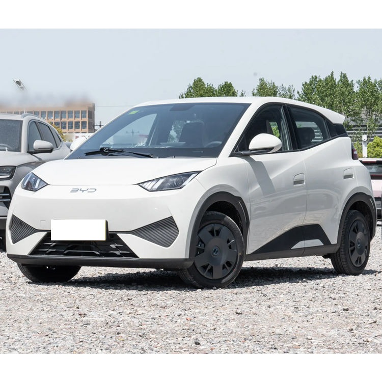 2025 BYD Seagull vehicle photo 4