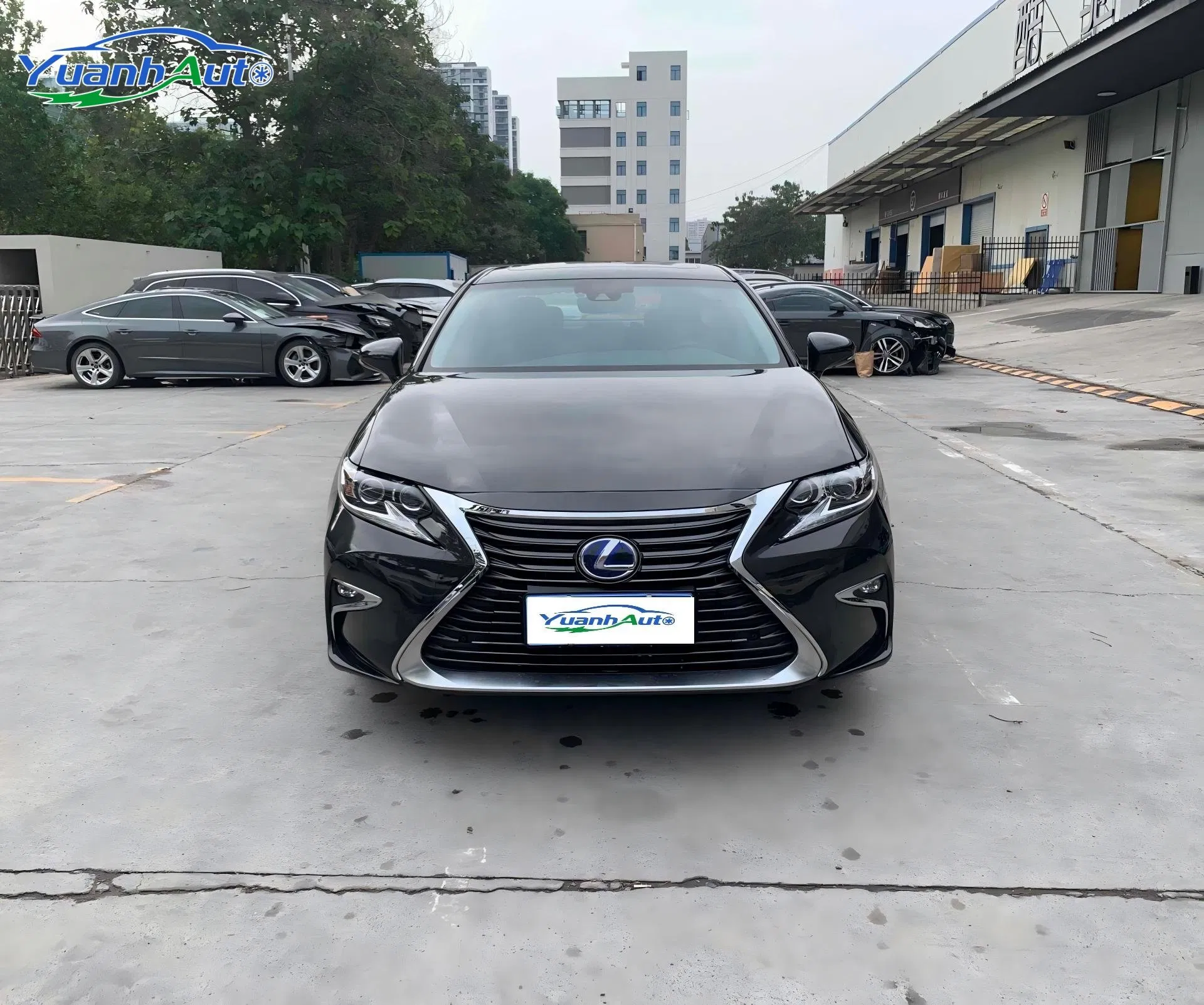 2016 Le Xus Es 250 Luxury Edition for The Discerning Driver Used Car vehicle photo 3