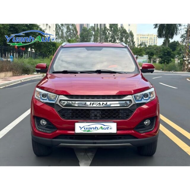 2020 Lifan Maiwei vehicle photo 1