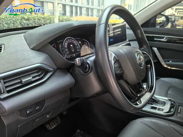 2020 Dongfeng AEOLUS Petrol Sedan — source image 19