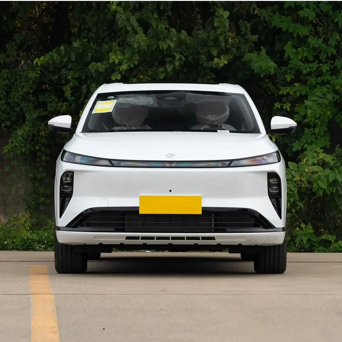2025 Dongfeng custom vehicle photo 3