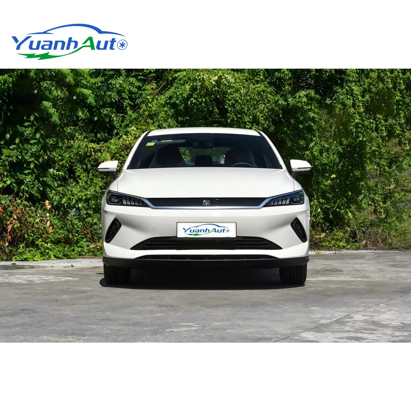 BYD Qin Plus EV Leading Sedan — source image 9