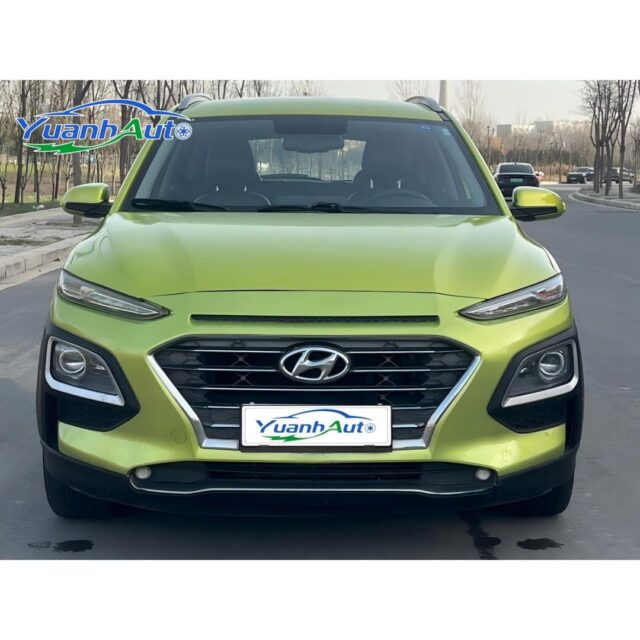 2019 Hyundai Encino vehicle photo 1
