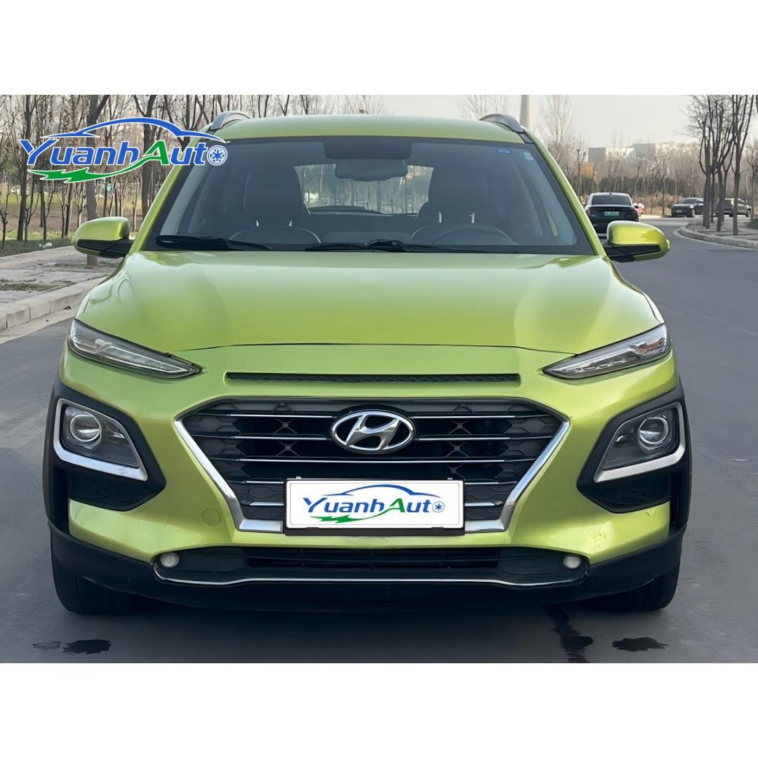 2019 Hyundai Encino vehicle photo 1