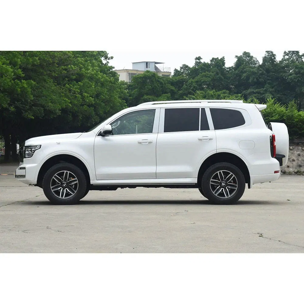 2025 Tank great wall tank 500 vehicle photo 6