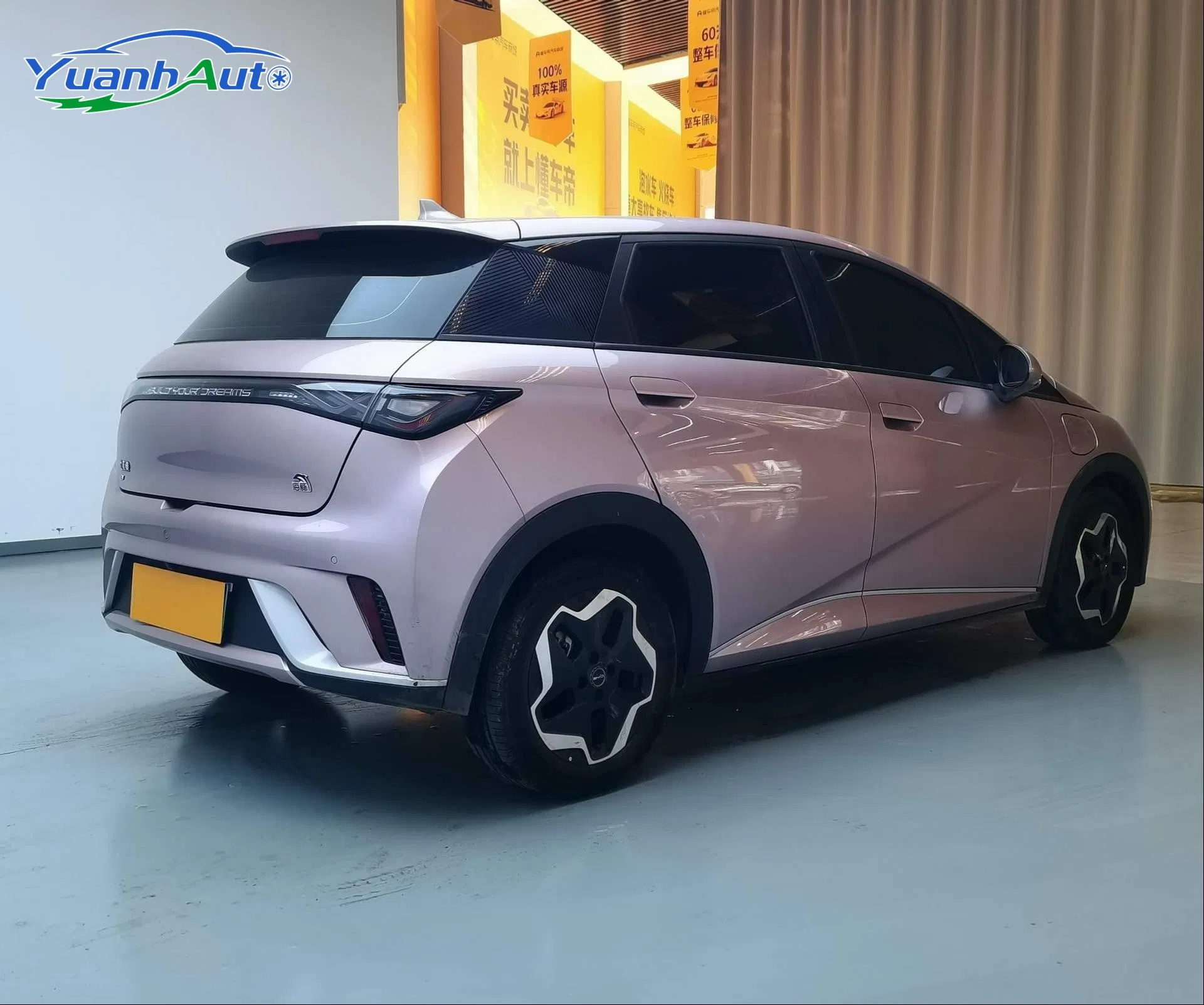 2021 BYD Dolphin — source image 10