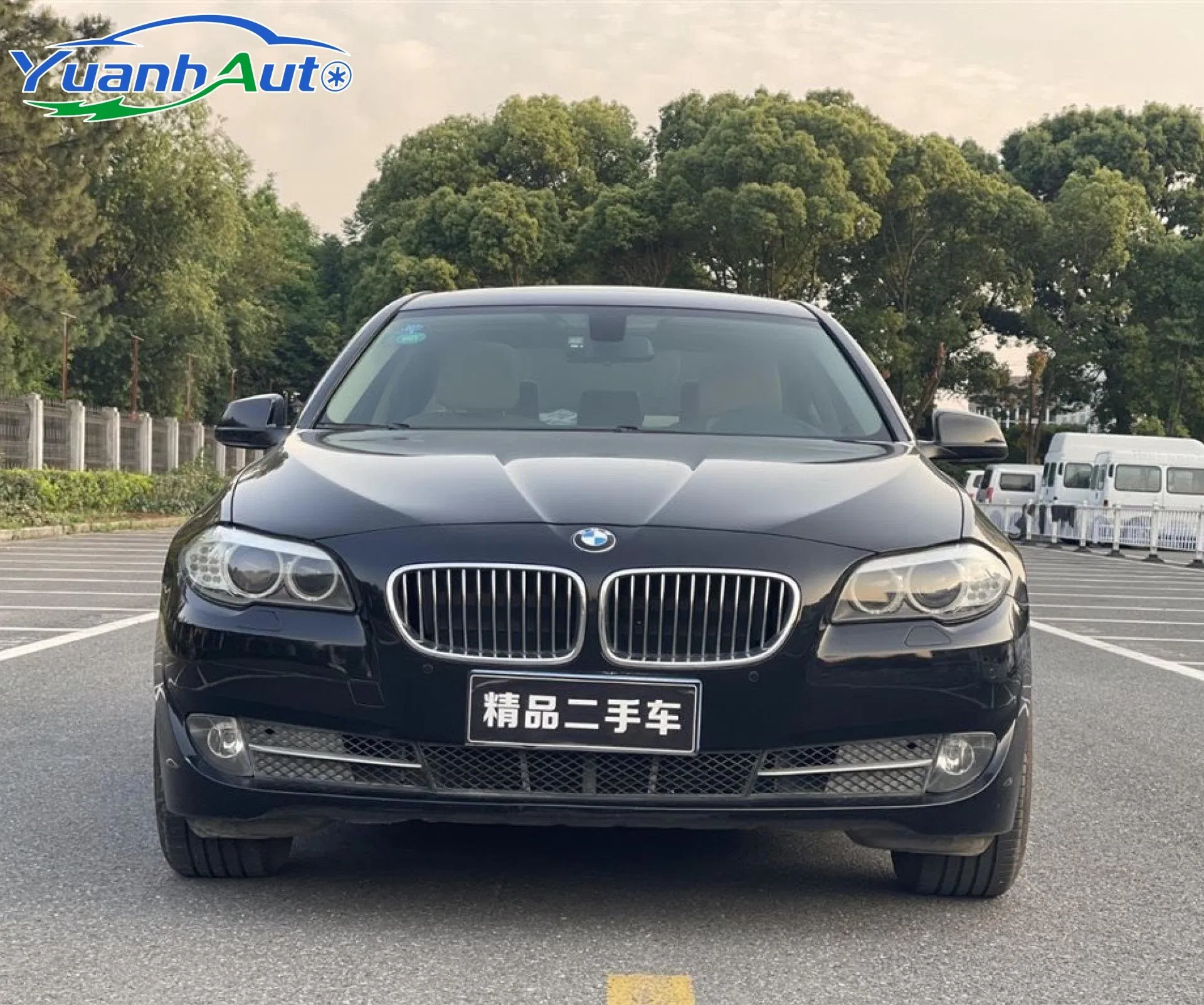 2013 BMW 5 Series Petrol Sedan — source image 3