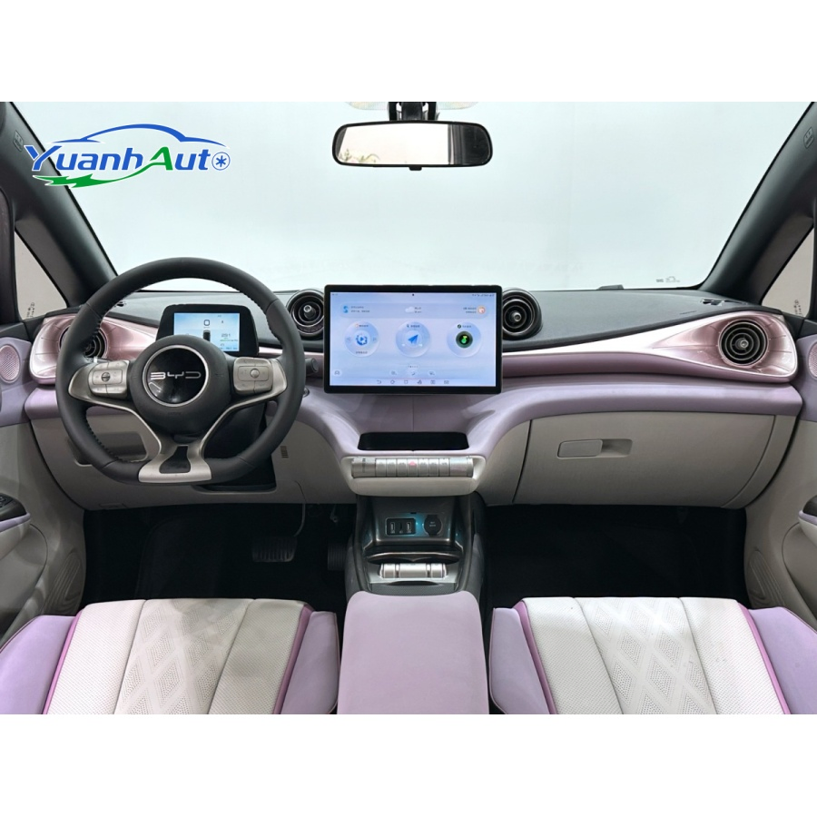 2023 BYD Dolphin vehicle photo 7