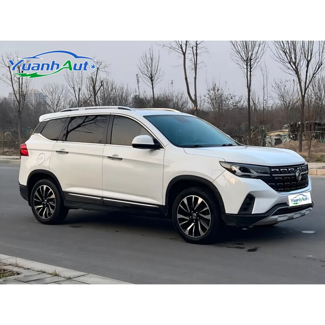 2019 Dongfeng Fengxing T5 SUV — source image 10
