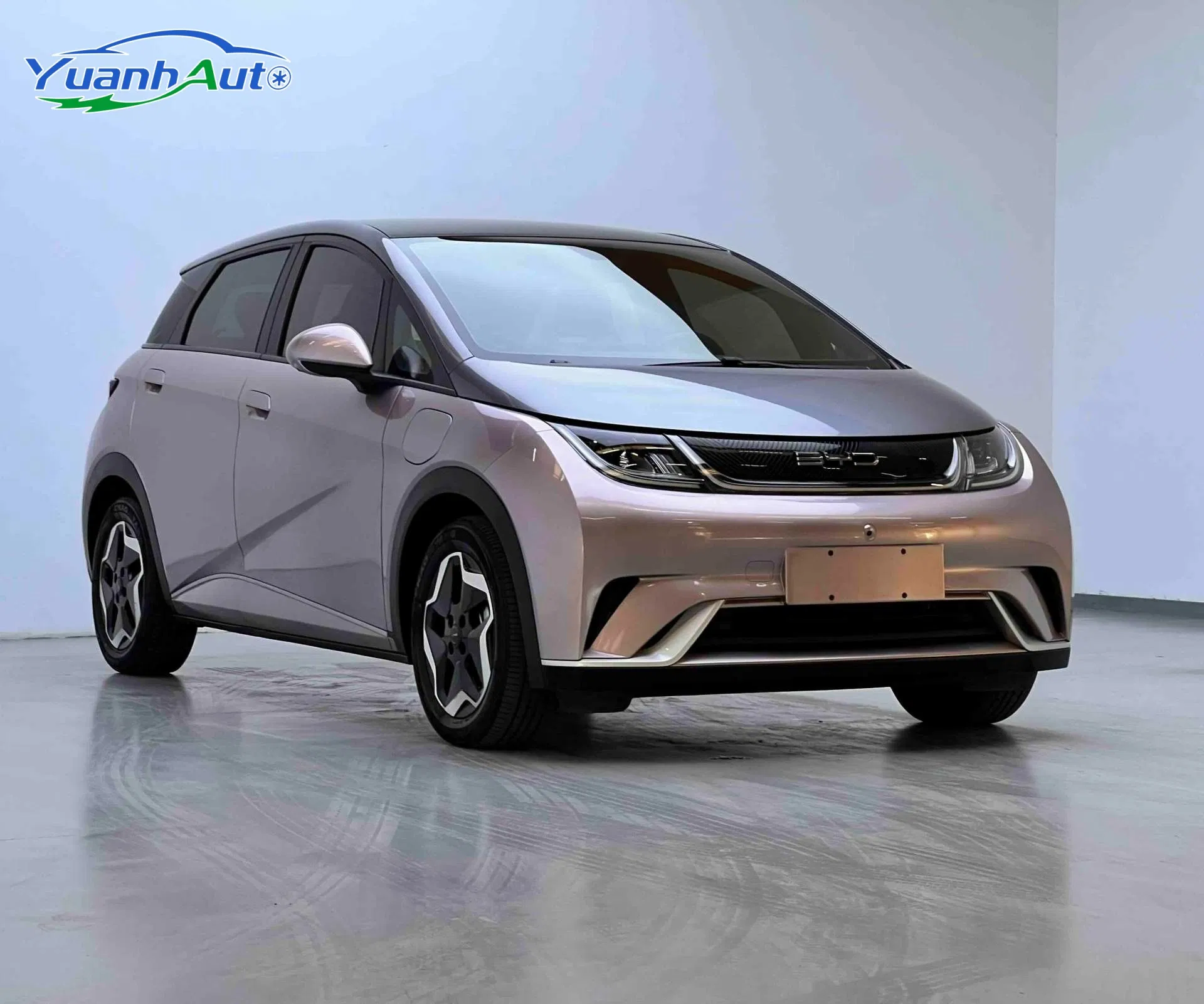 2021 BYD custom vehicle photo 5