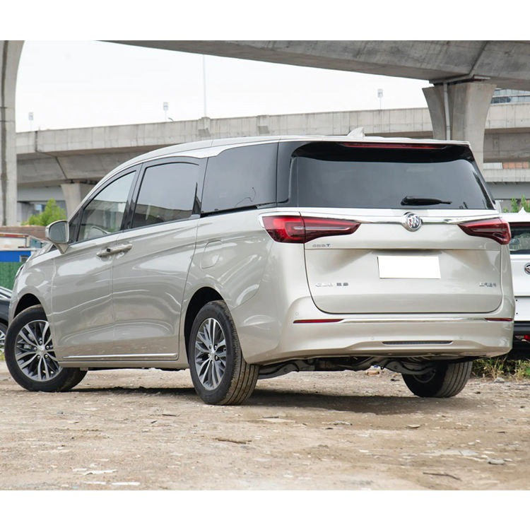 buick gl8 vehicle photo 3