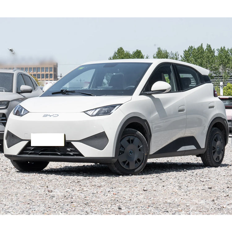 2025 BYD seagull vehicle photo 3