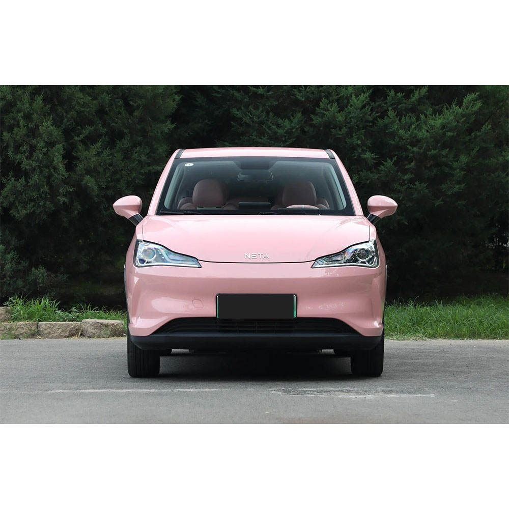 2025 Neta V vehicle photo 1