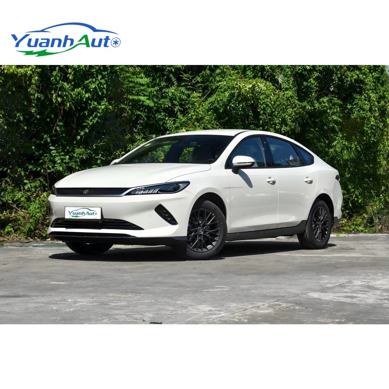 BYD Qin Plus EV vehicle photo 3