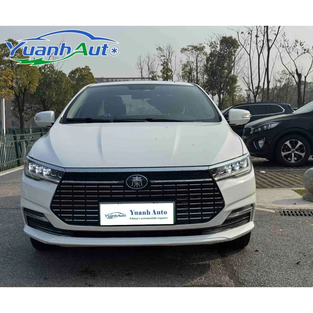 2021 BYD Qin vehicle photo 3