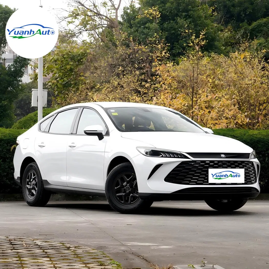 BYD Qin Plus Dm-i vehicle photo 4