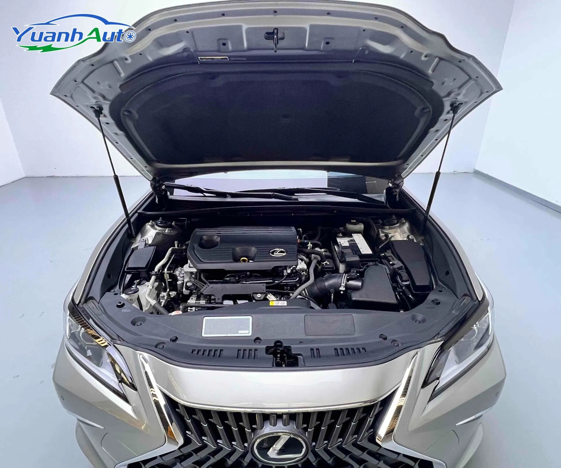 2021 Lexus ES 260 Petrol Sedan — source image 6
