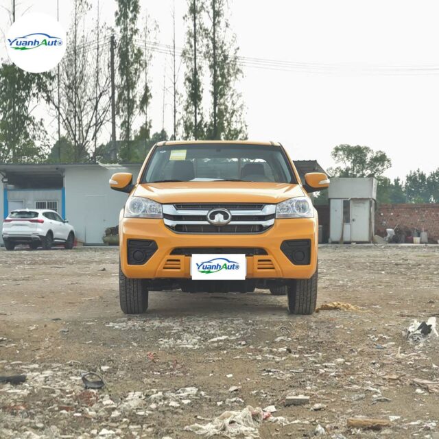 Fengjun 5 vehicle photo 1
