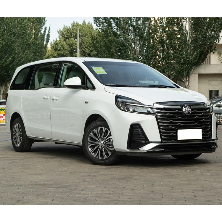 buick gl8 vehicle photo 3