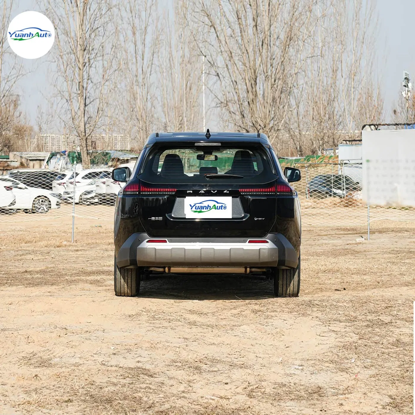 Toyota RAV4 vehicle photo 7
