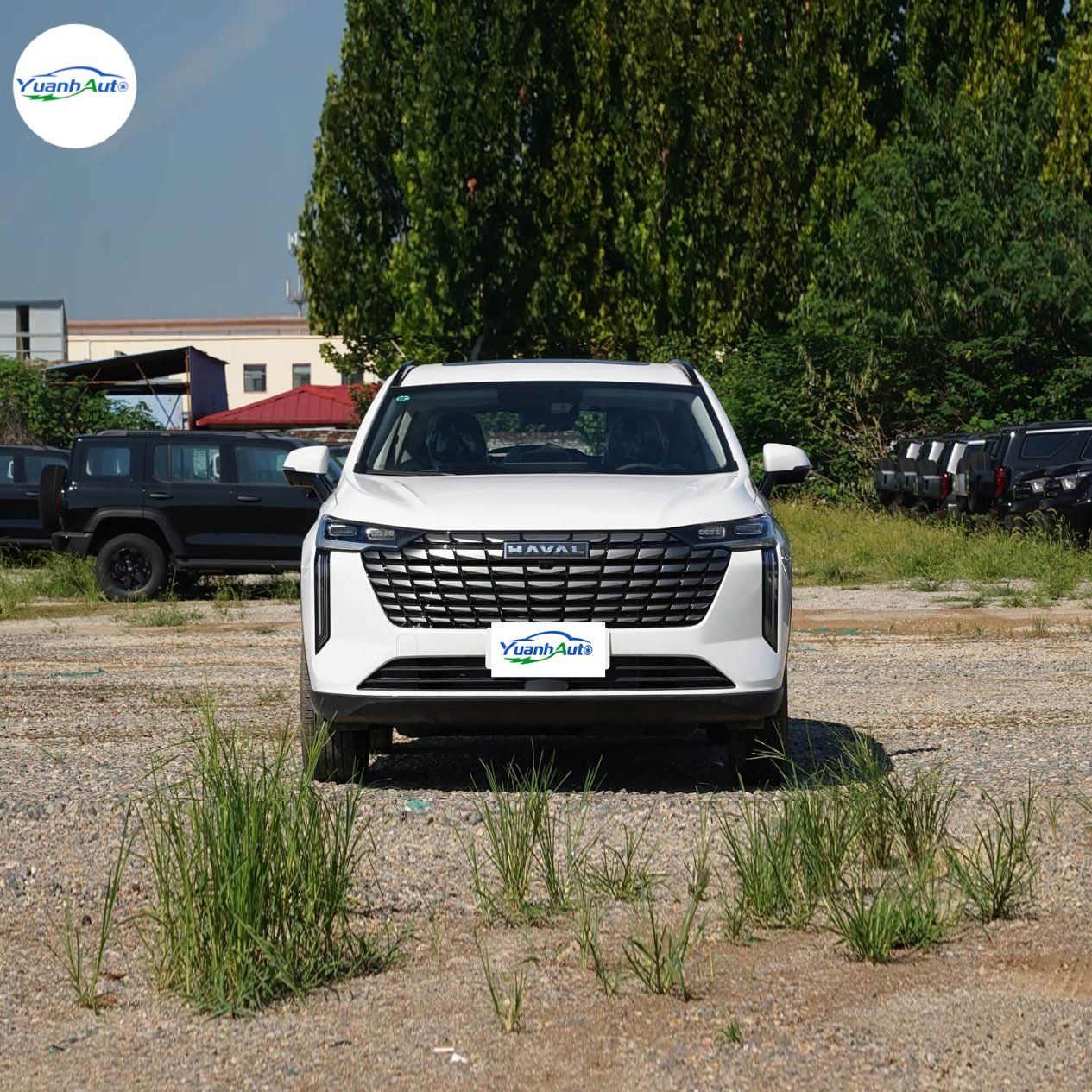 Haval Haval vehicle photo 1