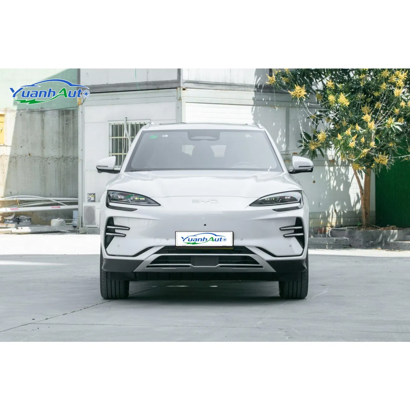 BYD Song Plus Electric SUV — source image 9