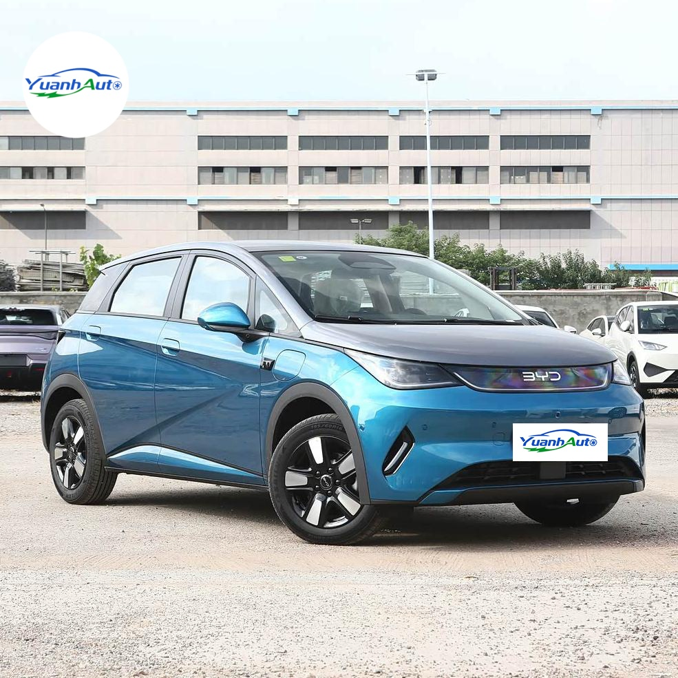 2025 BYD Dolphin vehicle photo 4