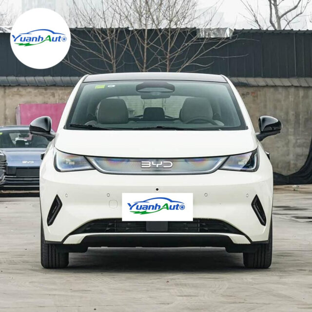 2025 BYD Dolphin vehicle photo 1