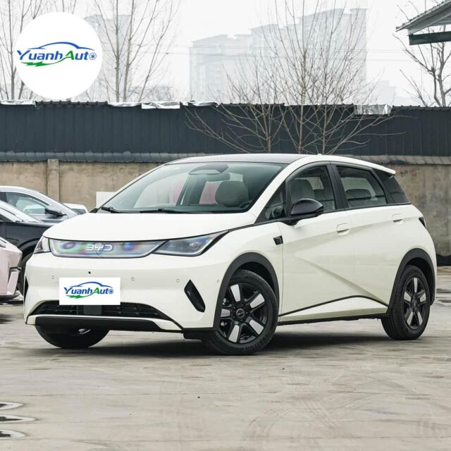 BYD Dolphin vehicle photo 1