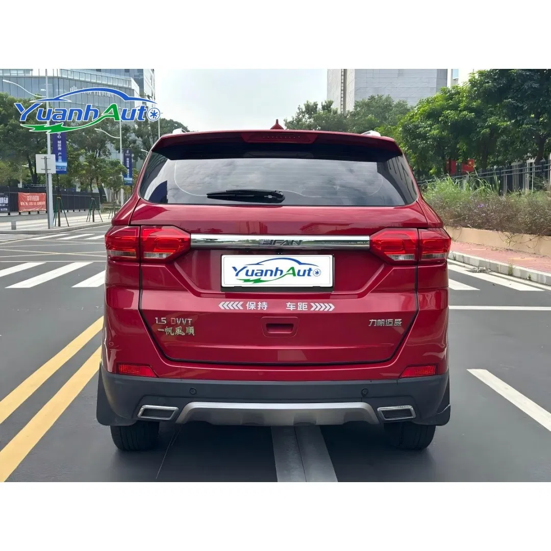 2020 Lifan Maiwei vehicle photo 5