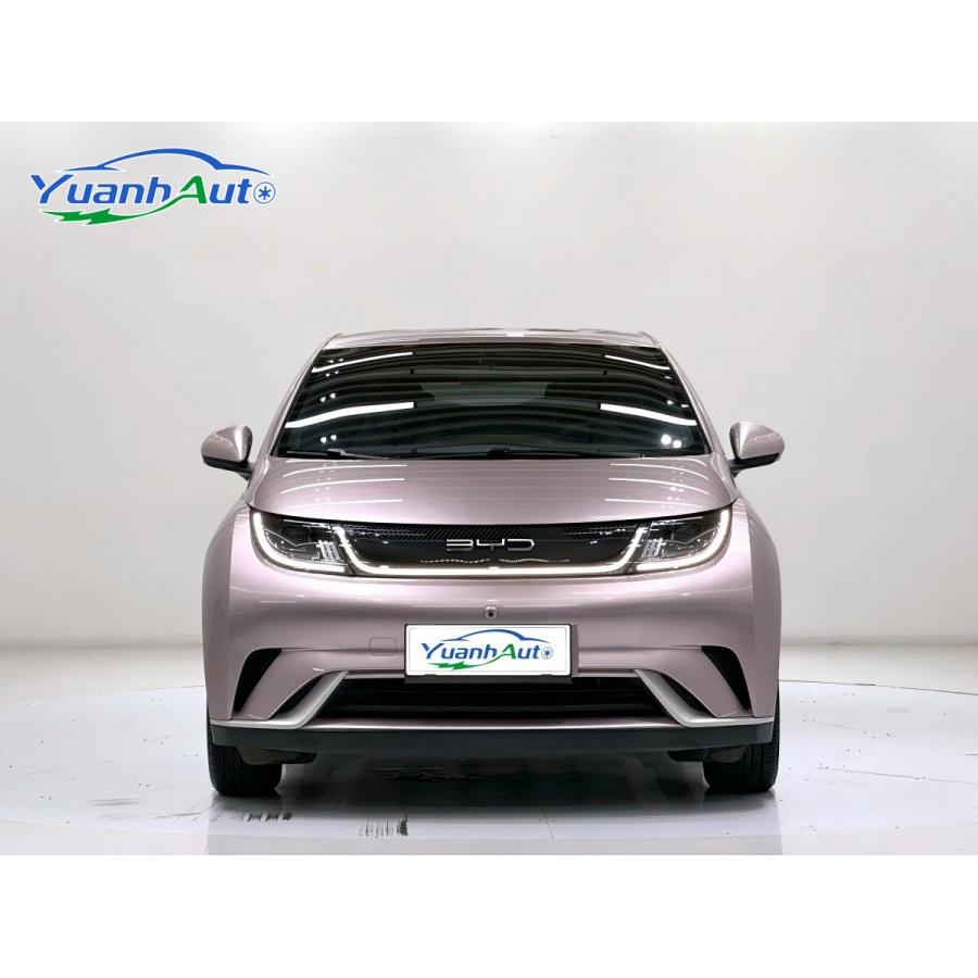 2023 BYD Dolphin vehicle photo 4