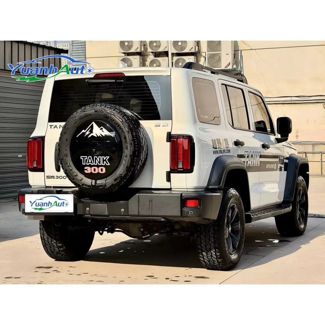 2022 Tank 300 2.0T Petrol — source image 17