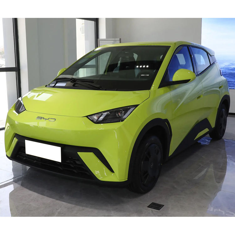 BYD Seagull vehicle photo 4
