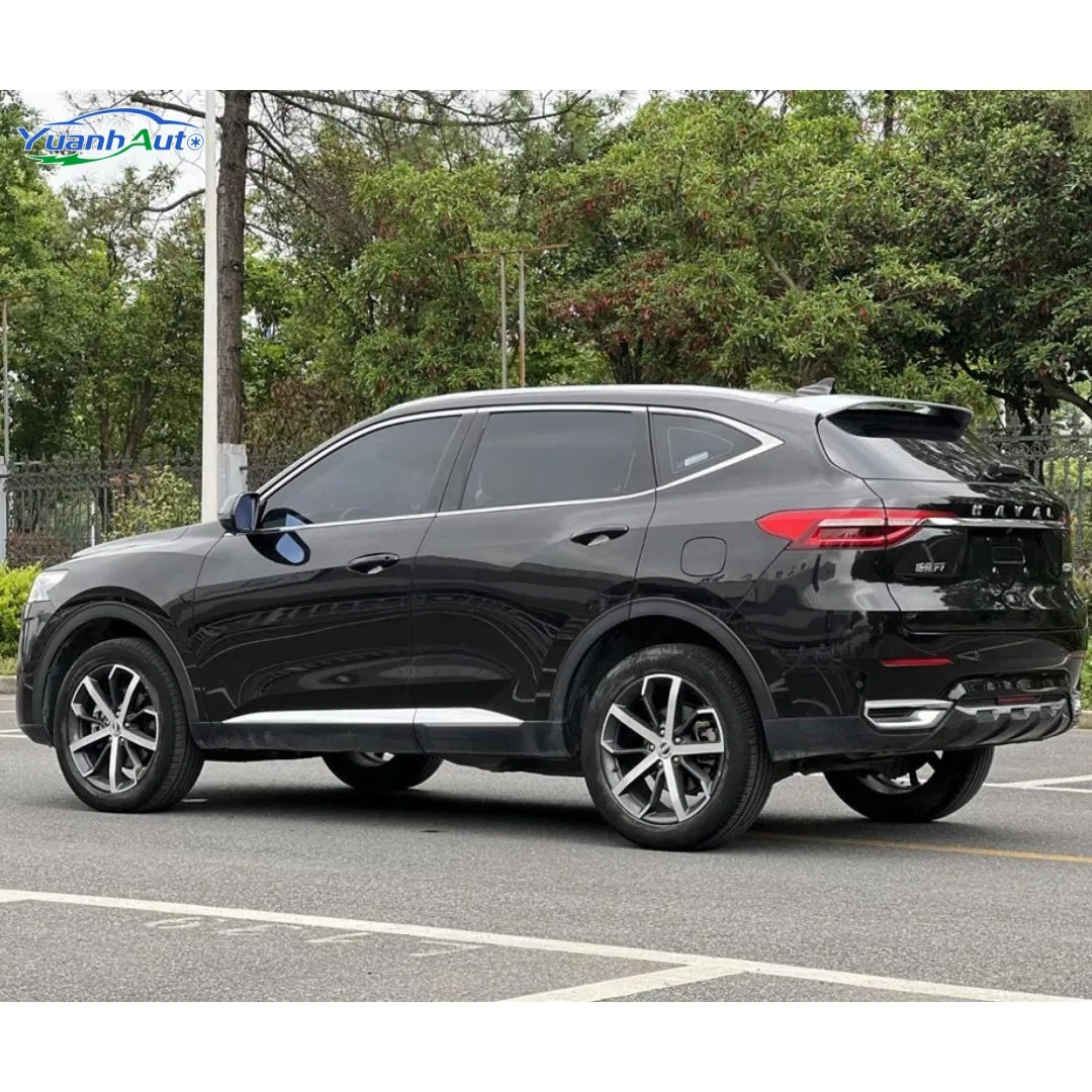 2019 Haval F7 vehicle photo 6