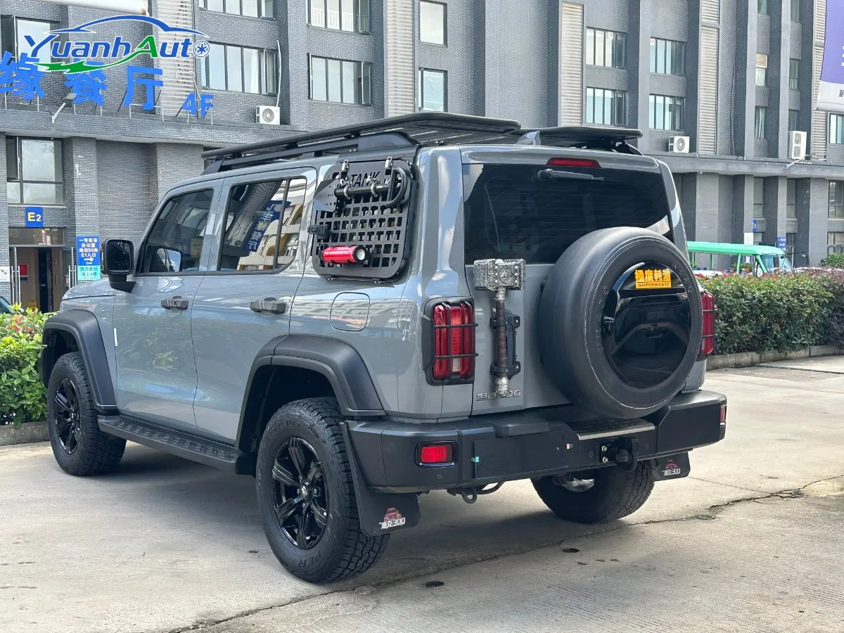 2021 Tank 300 Petrol SUV — source image 6