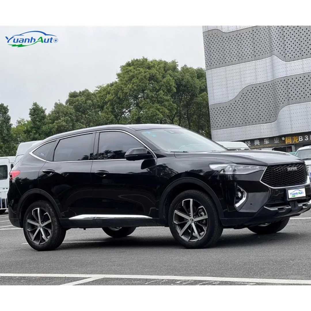 2019 Haval F7 vehicle photo 7