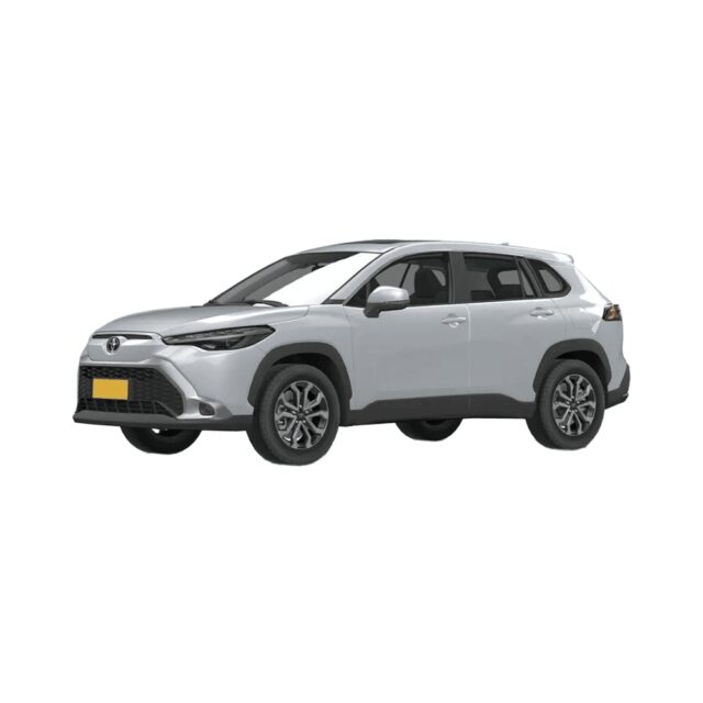2023 Toyota Fenglanda vehicle photo 1
