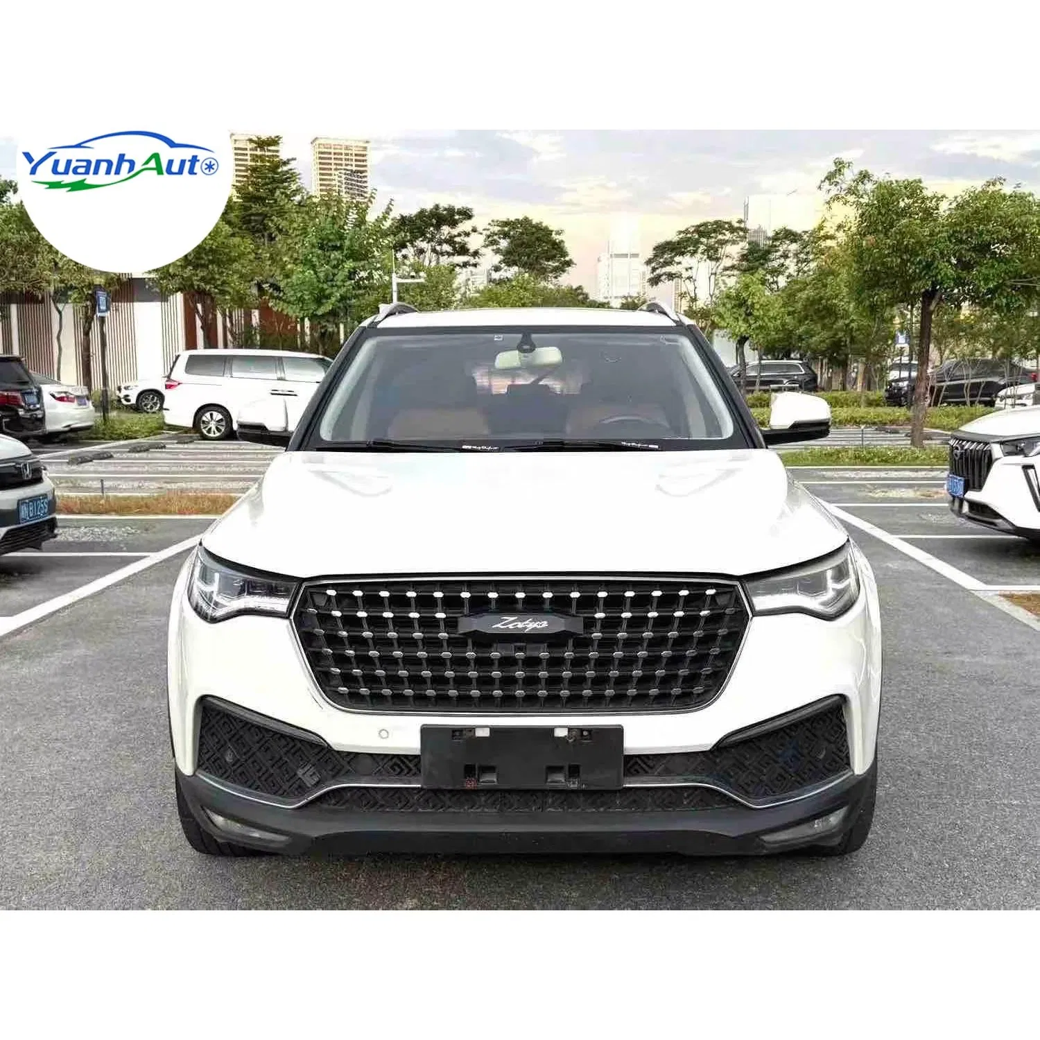 2017 Zotye T700 vehicle photo 3
