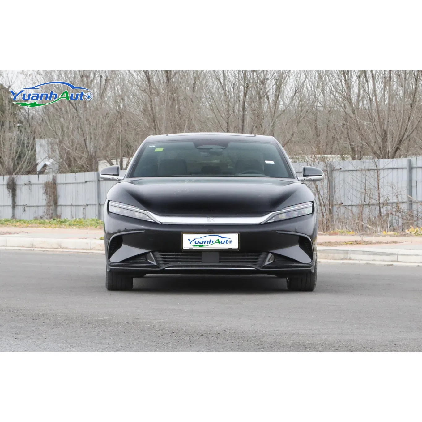 BYD Han vehicle photo 3