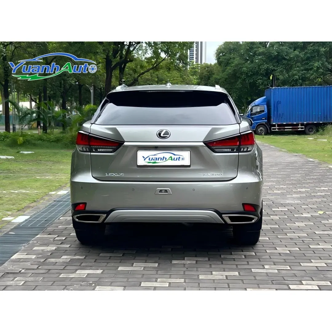 2021 Lexus RX 300 vehicle photo 5