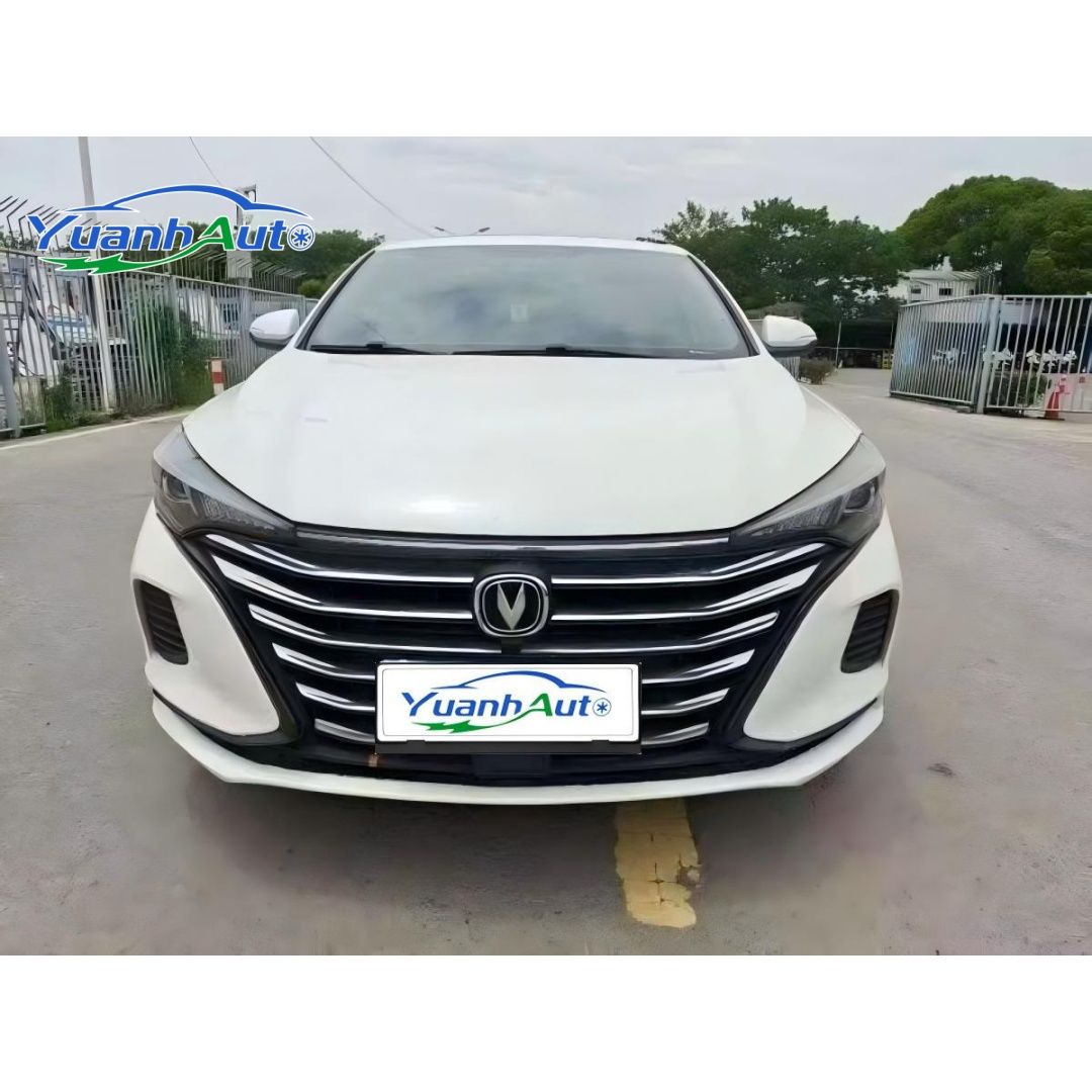 2019 Changan EADO vehicle photo 1