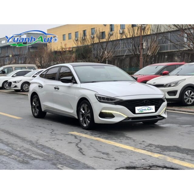 2020 Hyundai LAFESTA vehicle photo 1