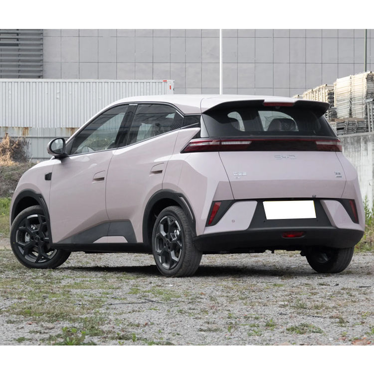 2025 BYD seagull vehicle photo 6
