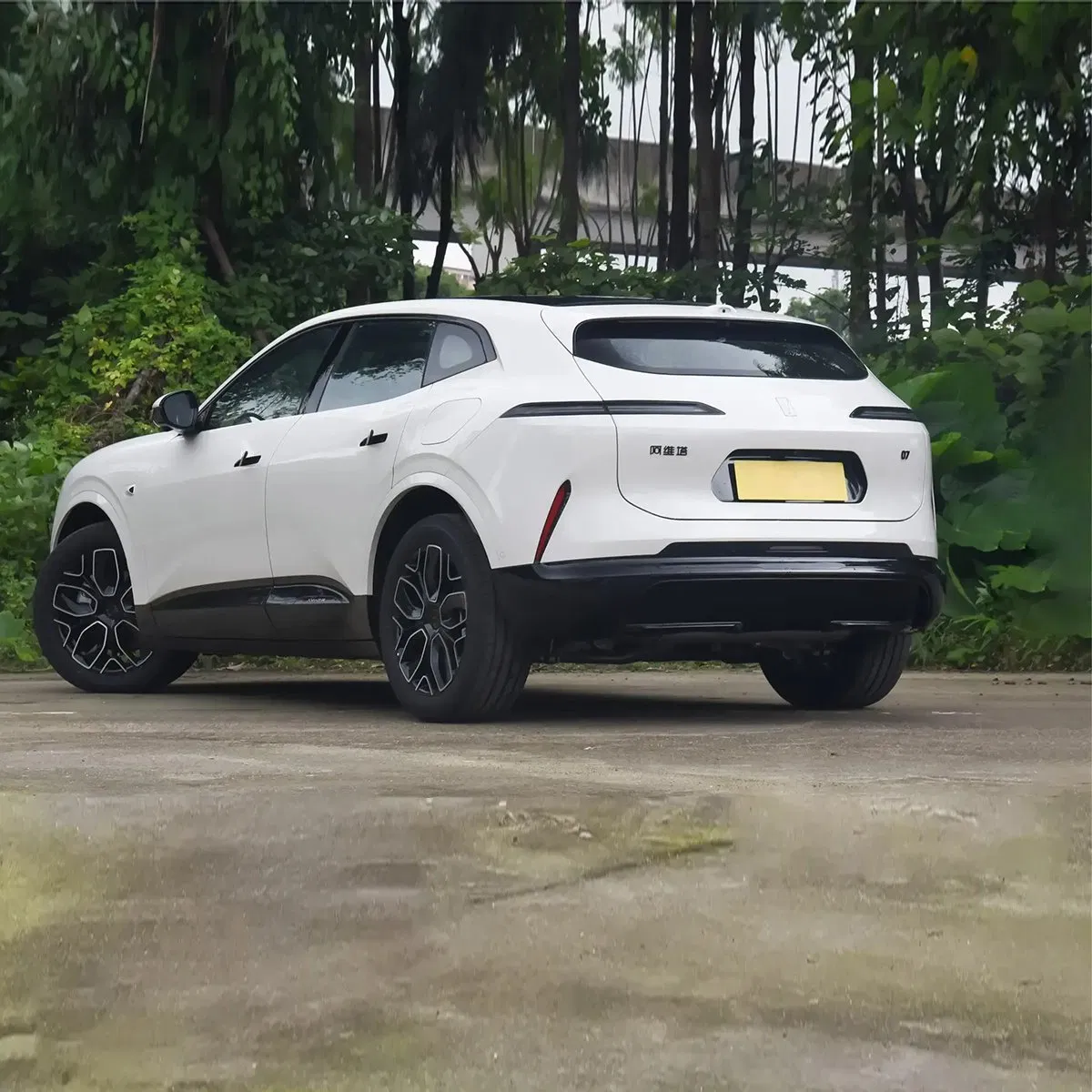2026 custom vehicle photo 5