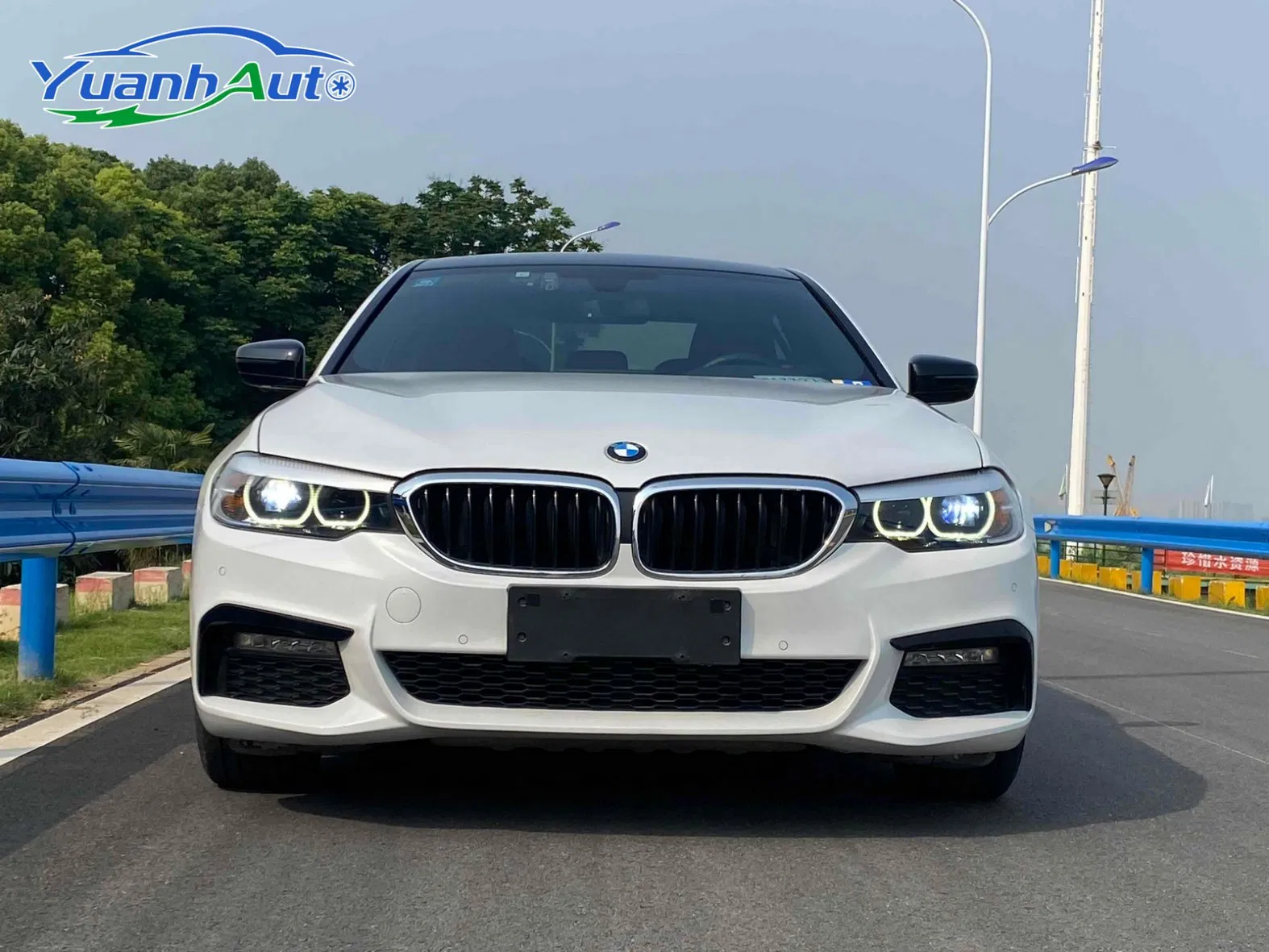 2018 BMW 530Li Petrol Sedan — source image 3