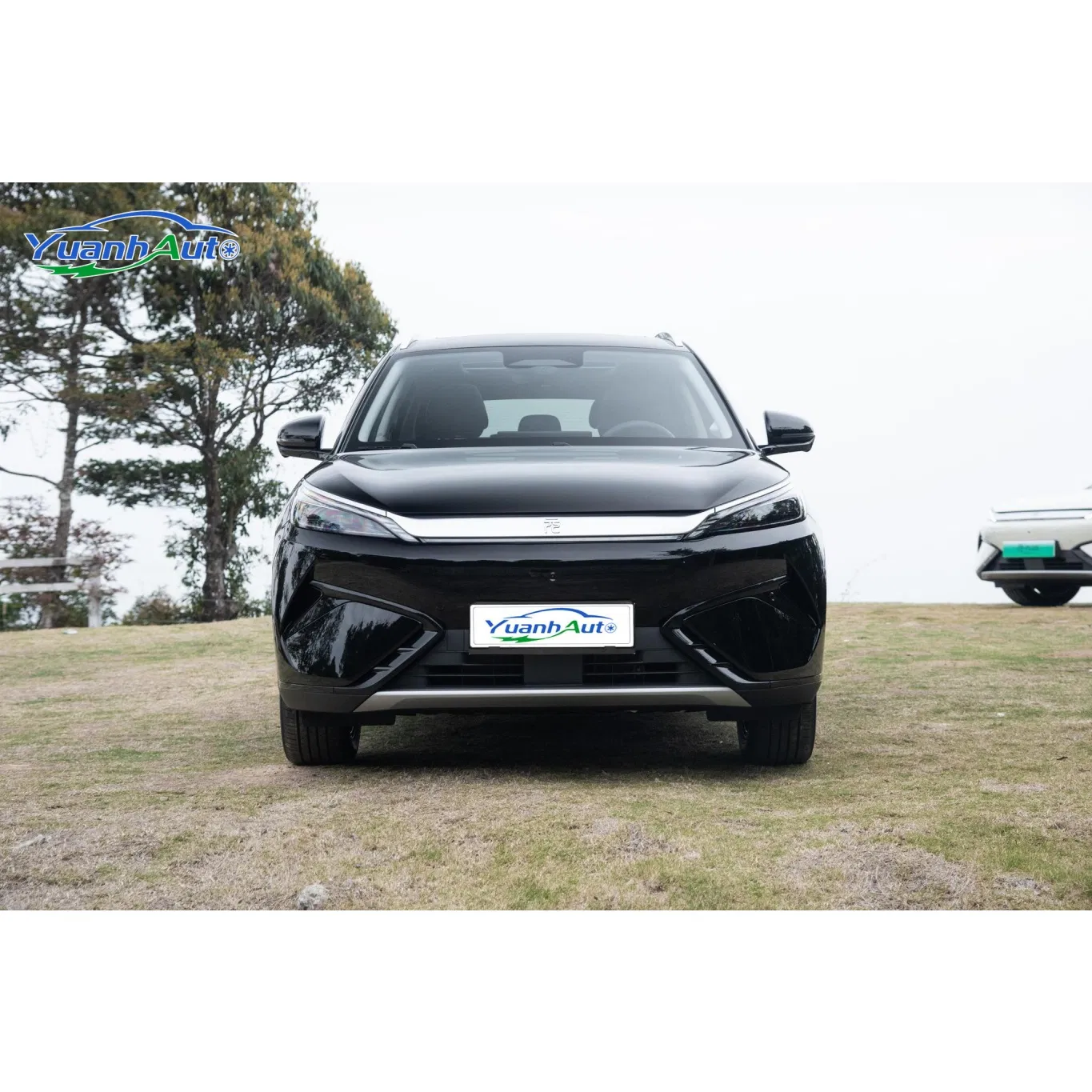 BYD Yuan plus vehicle photo 4