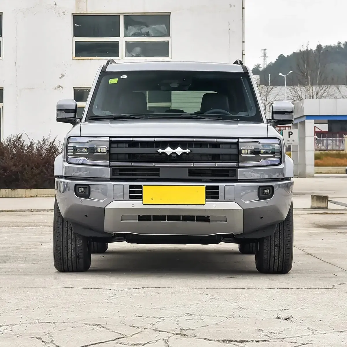 2025 BYD Leopard 5 vehicle photo 4