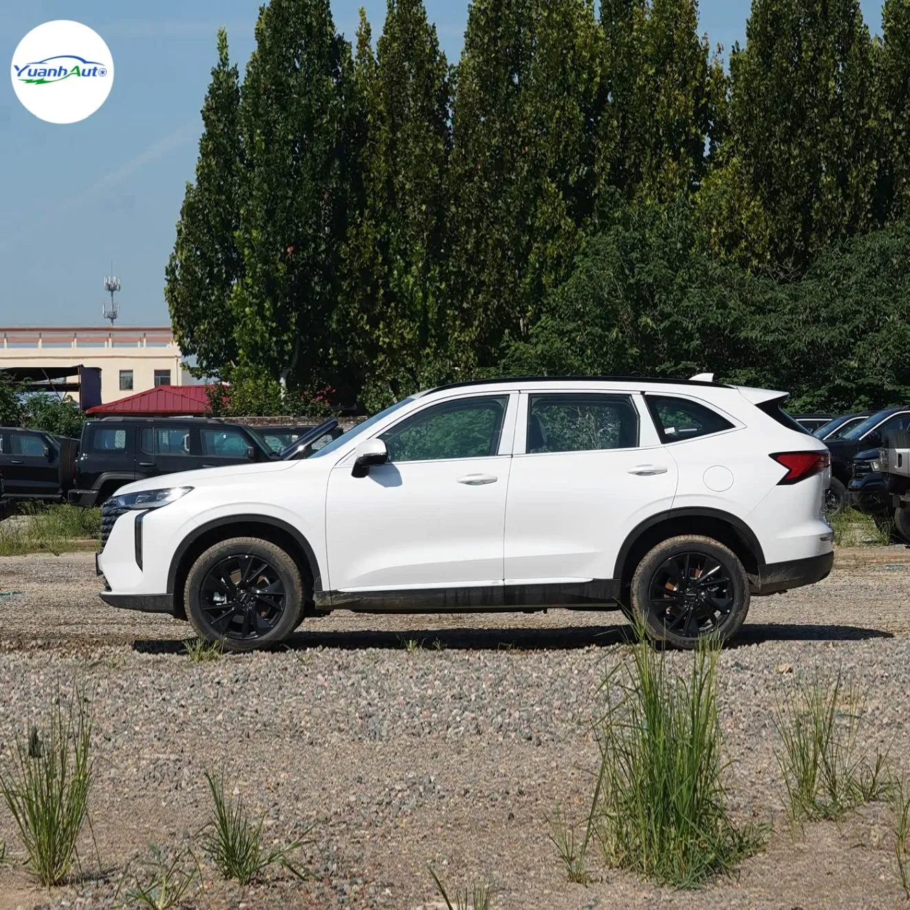 Haval Haval vehicle photo 5